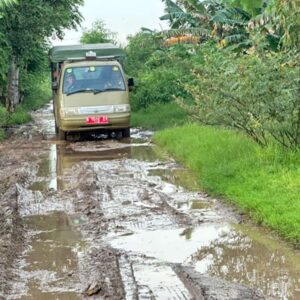 Telusuri Jalan Rusak: Pj Bupati Bekasi Tanggapi Aspirasi Warga Sukatenang