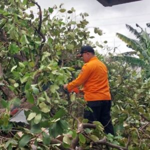 Angin Puting Beliung Porak-porandakan Harapan Jaya, Bekasi Utara: 41 Rumah Rusak