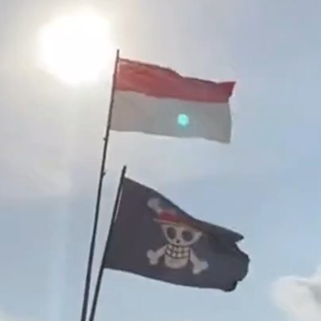 Pakar Komunikasi UMY: Bendera One Piece Simbol Identitas dan Aktivisme Sosial