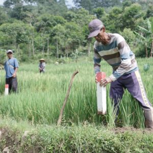 Gerakan Pemasangan Tanda Batas Tanah GEMAPATAS 2025 Dimulai Serentak di Indonesia