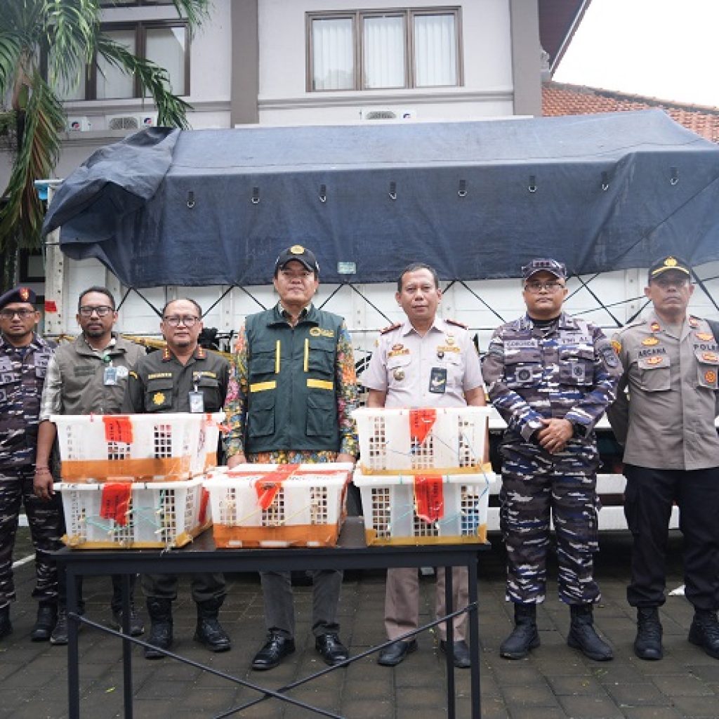 Tegakkan UU Karantina, Barantin Tindak Tegas Pengiriman 7.355 Burung Tanpa Dokumen