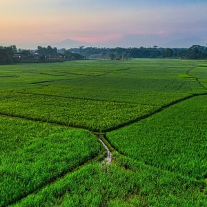 ATR/BPN Percepat Tata Ruang Dukung Kawasan Pangan Papua Selatan