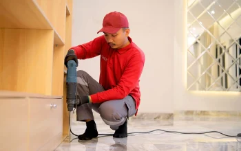 Rayap Bisa Menyerang Diam-Diam, Kenali Tanda dan Cara Mencegahnya