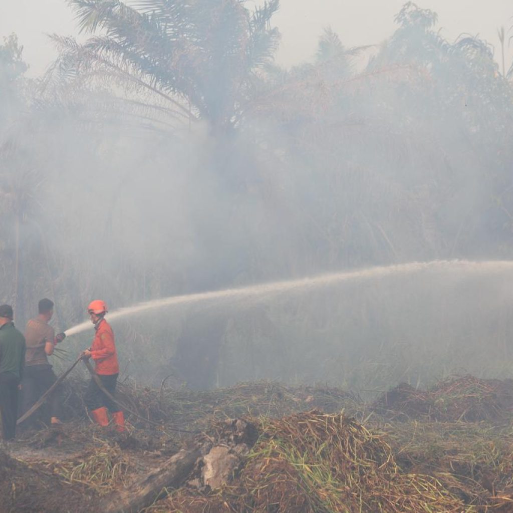 Karhutla Kalimantan Memburuk, Ratna Juwita Dorong Penguatan Deteksi Dini