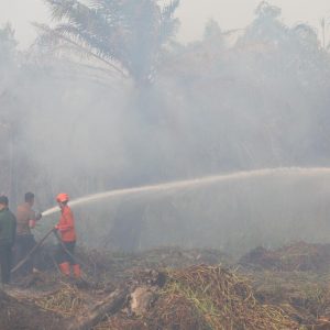 Karhutla Kalimantan Memburuk, Ratna Juwita Dorong Penguatan Deteksi Dini